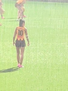 Kaitlyn Ashmore #10 (Hawthorn)