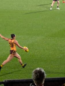 Laura Elliott #20 (Hawthorn)