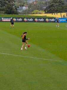 Kaitlyn Ashmore #10 (Hawthorn)