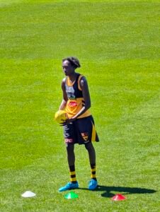 Grace Baba #15 (Hawthorn)
